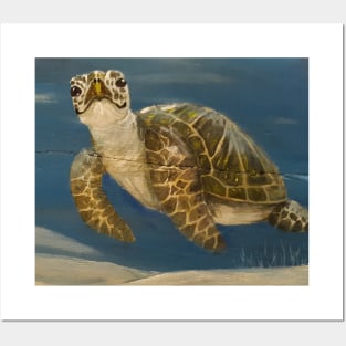 Sea Turtle Crush Posters and Art